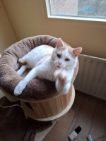 /album/26-02-2026/whatsapp-image-2026-02-26-at-17-54-03-jpeg/